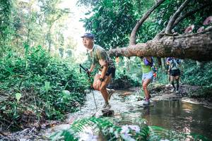 BIB: 
                            <button type="button" onclick="openModal(25436799)" class="btn btn-primary btn-sm float-right btn-popup" data-toggle="modal" data-target=".modal-high-quality">
                        <i class="fas fa-shopping-cart"></i> Add to Cart
                    </button>
                                            <button type="button" onclick="isThisMe(25436799, true)" class="btn btn-success btn-sm float-right btn-popup btn-isme hidden" data-toggle="tooltip" data-placement="bottom" title="นี่คือรูปของคุณใช่ไหม คลิกที่นี่เพื่อเอาเข้าอัลบั้ม">
                        <i class="fas fa-plus"></i> Add to album
                    </button>
                    <button type="button" onclick="isThisMe(25436799, false)" class="btn btn-warning btn-sm float-right btn-popup btn-isnotme hidden">
                        <i class="fas fa-ban"></i> Remove from album
                    </button>